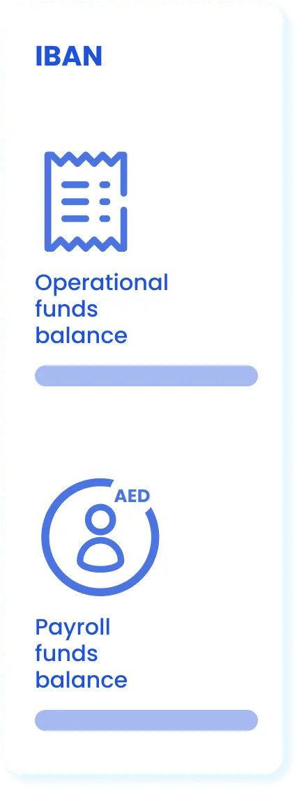 IBAN with Operational funds balance and Payroll funds balance card